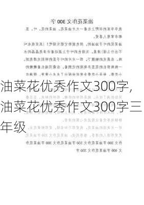 油菜花优秀作文300字,油菜花优秀作文300字三年级