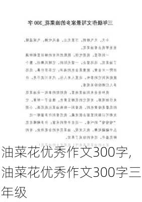 油菜花优秀作文300字,油菜花优秀作文300字三年级