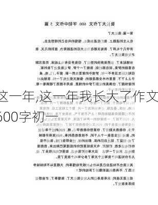 这一年,这一年我长大了作文600字初一