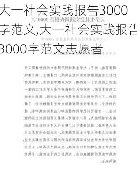 大一社会实践报告3000字范文,大一社会实践报告3000字范文志愿者