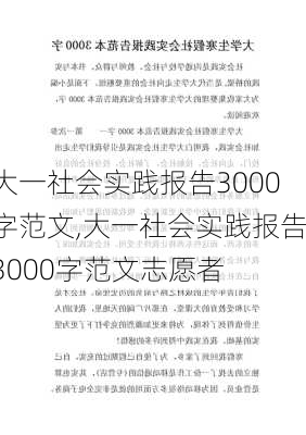 大一社会实践报告3000字范文,大一社会实践报告3000字范文志愿者