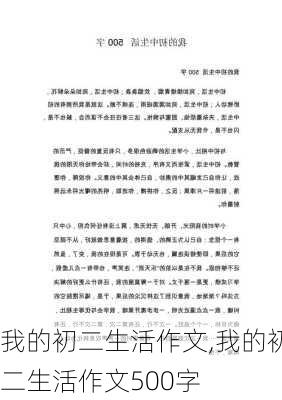 我的初二生活作文,我的初二生活作文500字