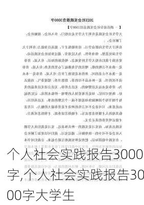 个人社会实践报告3000字,个人社会实践报告3000字大学生