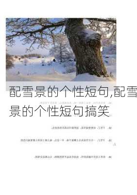 配雪景的个性短句,配雪景的个性短句搞笑