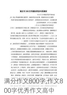 满分作文800字,作文800字优秀作文高中