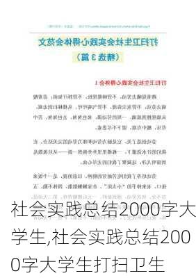 社会实践总结2000字大学生,社会实践总结2000字大学生打扫卫生