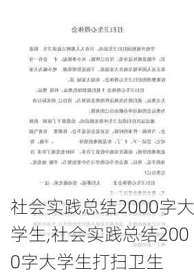 社会实践总结2000字大学生,社会实践总结2000字大学生打扫卫生