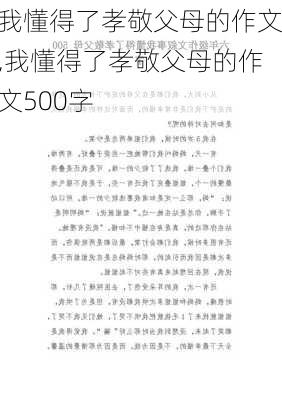 我懂得了孝敬父母的作文,我懂得了孝敬父母的作文500字