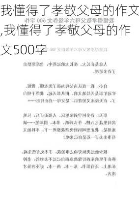 我懂得了孝敬父母的作文,我懂得了孝敬父母的作文500字