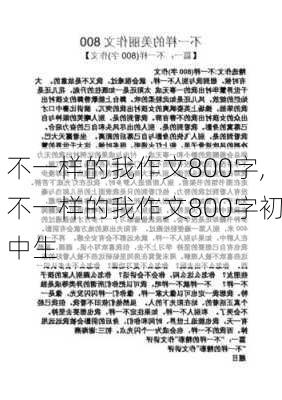 不一样的我作文800字,不一样的我作文800字初中生