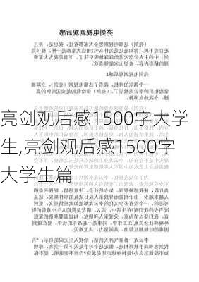 亮剑观后感1500字大学生,亮剑观后感1500字大学生篇