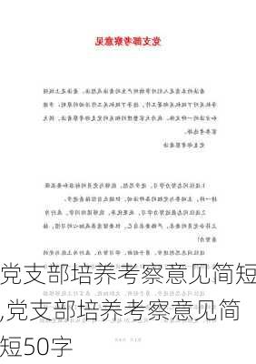 党支部培养考察意见简短,党支部培养考察意见简短50字