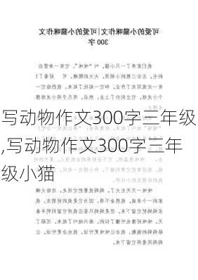 写动物作文300字三年级,写动物作文300字三年级小猫