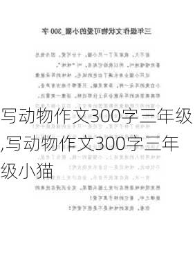 写动物作文300字三年级,写动物作文300字三年级小猫