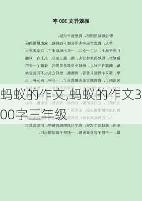 蚂蚁的作文,蚂蚁的作文300字三年级