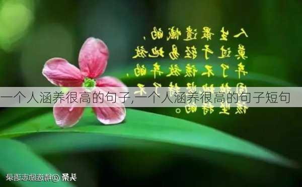 一个人涵养很高的句子,一个人涵养很高的句子短句