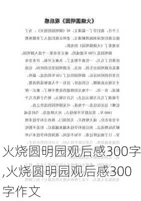 火烧圆明园观后感300字,火烧圆明园观后感300字作文