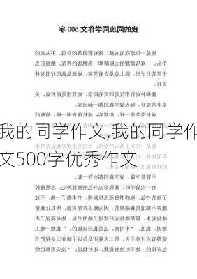 我的同学作文,我的同学作文500字优秀作文