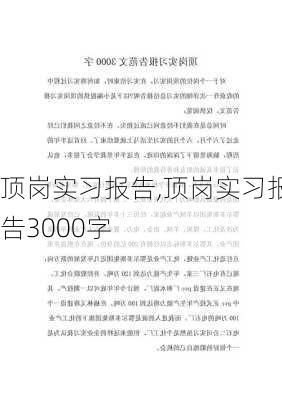 顶岗实习报告,顶岗实习报告3000字