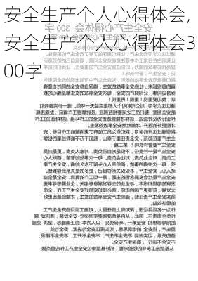 安全生产个人心得体会,安全生产个人心得体会300字