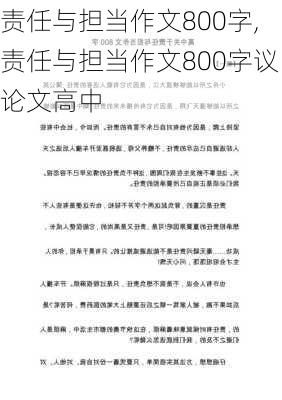 责任与担当作文800字,责任与担当作文800字议论文高中