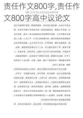 责任作文800字,责任作文800字高中议论文