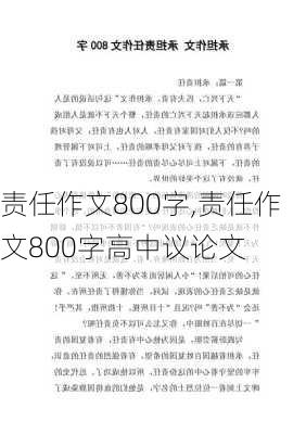 责任作文800字,责任作文800字高中议论文