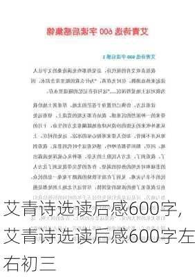 艾青诗选读后感600字,艾青诗选读后感600字左右初三