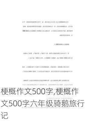 梗概作文500字,梗概作文500字六年级骑鹅旅行记