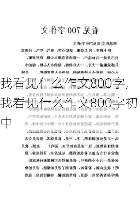 我看见什么作文800字,我看见什么作文800字初中