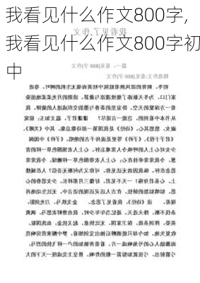 我看见什么作文800字,我看见什么作文800字初中