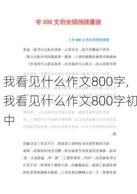 我看见什么作文800字,我看见什么作文800字初中