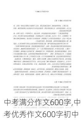 中考满分作文600字,中考优秀作文600字初中