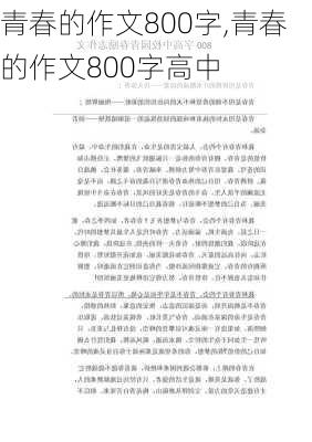 青春的作文800字,青春的作文800字高中