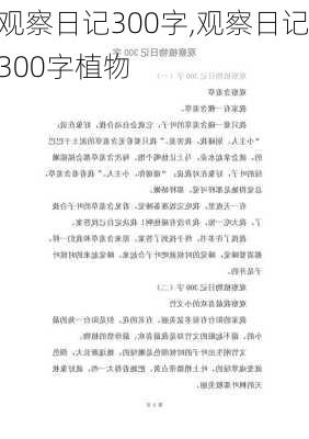 观察日记300字,观察日记300字植物