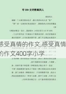 感受真情的作文,感受真情的作文400字小学