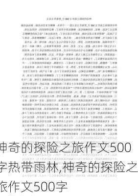 神奇的探险之旅作文500字热带雨林,神奇的探险之旅作文500字