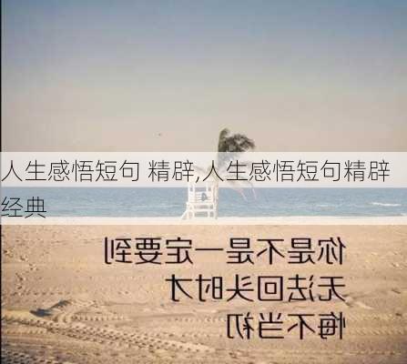 人生感悟短句 精辟,人生感悟短句精辟经典