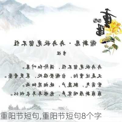 重阳节短句,重阳节短句8个字