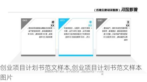 创业项目计划书范文样本,创业项目计划书范文样本图片