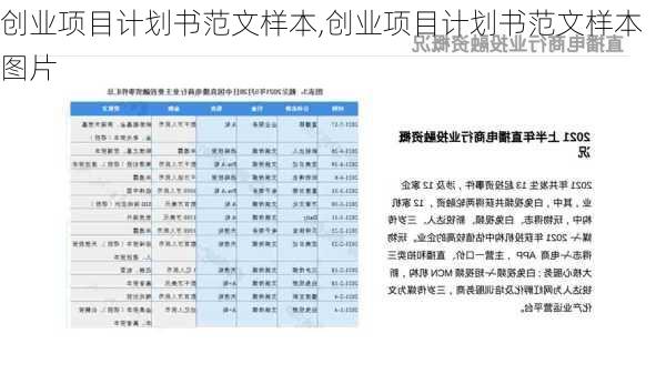 创业项目计划书范文样本,创业项目计划书范文样本图片