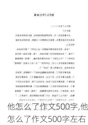 他怎么了作文500字,他怎么了作文500字左右