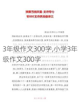 3年级作文300字,小学3年级作文300字