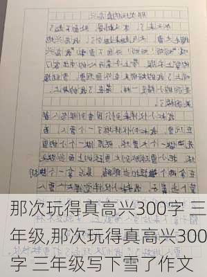 那次玩得真高兴300字 三年级,那次玩得真高兴300字 三年级写下雪了作文