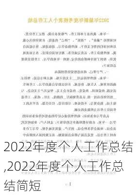 2022年度个人工作总结,2022年度个人工作总结简短