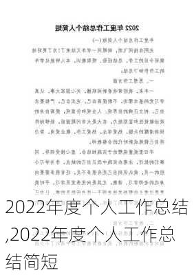 2022年度个人工作总结,2022年度个人工作总结简短