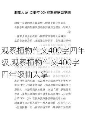 观察植物作文400字四年级,观察植物作文400字四年级仙人掌