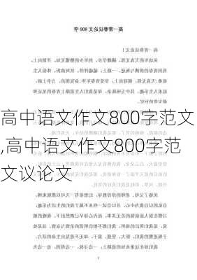 高中语文作文800字范文,高中语文作文800字范文议论文