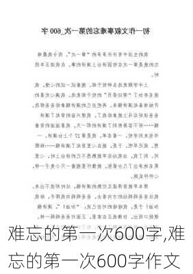 难忘的第一次600字,难忘的第一次600字作文