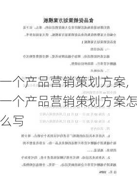 一个产品营销策划方案,一个产品营销策划方案怎么写